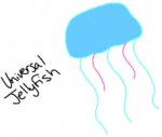 JELLYFISH.jpg