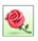 Screen Shot 2022-01-14 at 7.02.01 AM.png