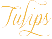 tulip.png