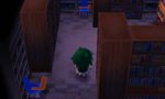 library 4.jpeg