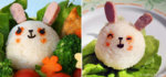 two+bunnies.jpg