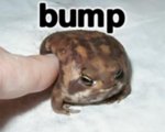 cit_bump.jpg