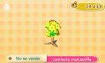 camiseta-manzanilla_2542.jpg