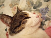 IMG_20230110_215526676.jpg