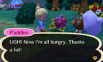 ACNL3.jpg
