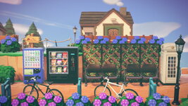 Raymonds House.jpg