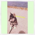 10420753_10203716644946388_2593967784301836088_n.jpg 10420753_10203716644946388_2593967784301836088_n.jpg