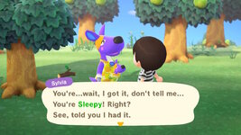 2023082914061200-02CB906EA538A35643C1E1484C4B947D.jpg 2023082914061200-02CB906EA538A35643C1E1484C4B947D.jpg