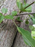 PXL_20230907_125919882.jpg
