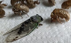 PXL_20230907_130818013.MP~4.jpg