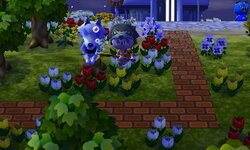 HNI_0037.jpeg HNI_0037.jpeg