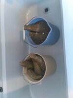 4Soaked.jpg 4Soaked.jpg