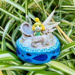 IMG_0911.jpeg IMG_0911.jpeg