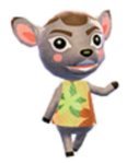 image.jpg image.jpg