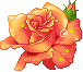 tumblr_lkgxszAicE1qb7h7x.gif tumblr_lkgxszAicE1qb7h7x.gif