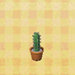 tall-mini-cactus.jpg