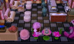 new leaf giveaway thing.jpg