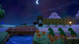 IMG_0607.jpeg