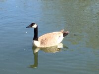 IMG_0325.JPG