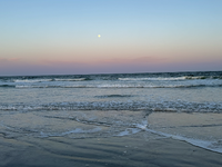 IMG_3768.png