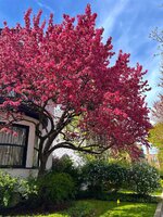 IMG_4174.jpeg