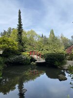 IMG_8266.jpg