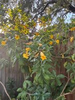 IMG_6182.jpeg