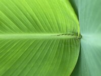 IMG_2798.jpeg
