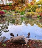 TheNaturalWorld_Entry-01.jpg