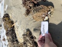 IMG_5640.jpeg