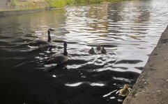 IMG_1587.jpeg