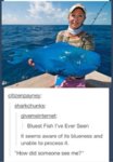 tumblr-deep-2-blue.jpg