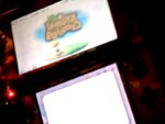 3ds2.jpg