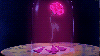 Rose.gif