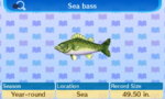 Sea_bass_(New_Leaf).jpg
