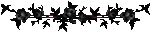BlackRoseDivider.gif