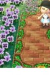 path outline 2.jpg