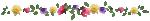 flowerDivider.gif