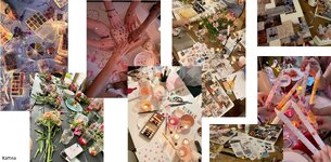 Collage.jpg