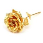 golden_rose_a_elegant_gifts_for_your_lover.jpg golden_rose_a_elegant_gifts_for_your_lover.jpg