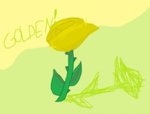 golden rose.jpg