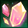 IMG_6200.png