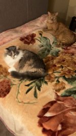 Luna and Luka 1.JPG
