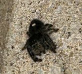 IMG_1787.jpeg