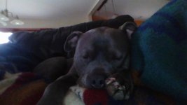 IMG_20250514_114040.jpg