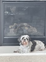IMG_0947.jpeg
