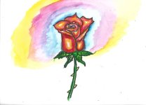 IMG_8430.jpeg