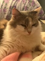 Luna picture 7.jpg
