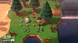 Two Gold Nuggets in One Rock.jpg