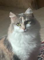Luna picture 8.jpg